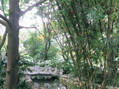 -成都市活水公园