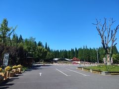 -东平国家森林公园