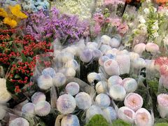 -循礼门鲜花花市(武汉循礼门店)