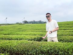 -雪绿茶博物馆