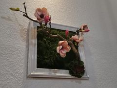 -清和传家饺子(龙泉道物美店)