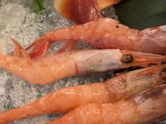 -牛New寿喜烧(闵行龙湖天街店)