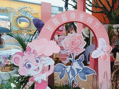-广州长隆欢乐世界