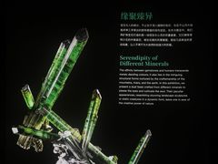 -深圳珠宝博物馆