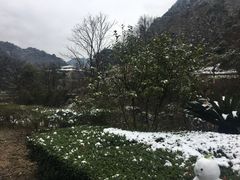 -天明山温泉大酒店