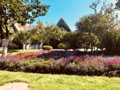 餐饮设施-悦海公园