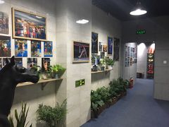 -格斗兄弟搏击健身训练馆(望京店)