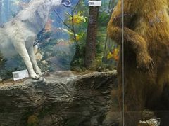 -国家自然博物馆