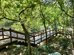 -广州白江湖森林公园