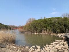 -上海吴淞炮台湾国家湿地公园