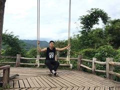 -大树秋千