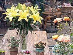 -三圣花乡旅游区