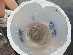 -南京市无想山景区