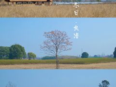 -良渚古城遗址公园