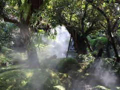 景观位-Chom Cafe and Restaurant