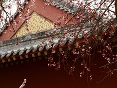 -桃花堤公园