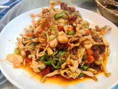 -龙小海荆沙鸽子店(瑞安街店)