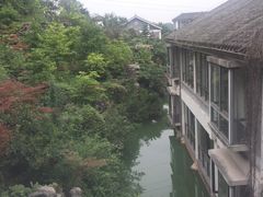-老幺泉水鸡