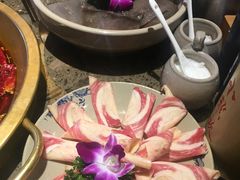 -小龙坎火锅(东汇城店)