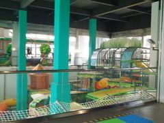 -蒙特利亲子乐园