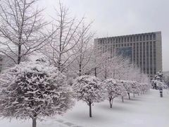 -东北大学(南湖校区)