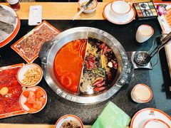 -潘小辣鲜肉老火锅