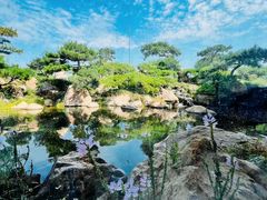 -罗红摄影艺术馆