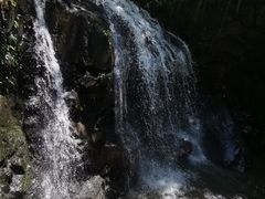 -藏龙百瀑风景区