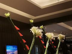 -上海西藏大厦万怡酒店