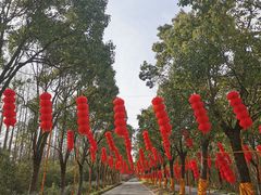 -上海海湾国家森林公园