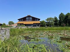 -宁波杭州湾国家湿地公园