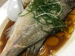 -老字号蛇口德记烧腊饭店·海鲜加工