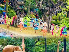 -广州长隆野生动物世界