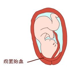 -邢台妇产医院