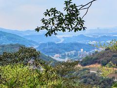 -黄埔油麻山森林公园