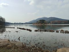 -长广溪湿地公园