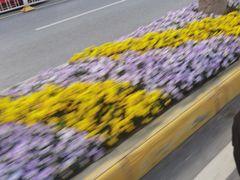 -龟山风景区-龟山电视塔