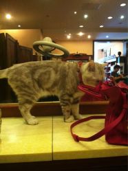 iphone_upload_pic-TWOFACE双面理发馆