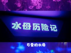 -海合安成都极地海洋公园