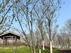 -天鹅湖体育公园