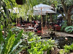 -Fern Forest Cafe