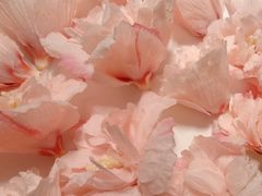 -炳胜公馆(珠江新城店)