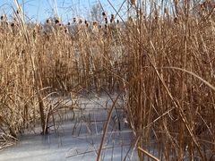 -野鸭湖国家湿地公园