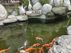-昌隆•家家鹅乡•海南菜老字号(琼海店)