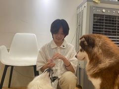 -Let's go狗咖·猫咖·奶狗·桌游(春熙路IFS店)