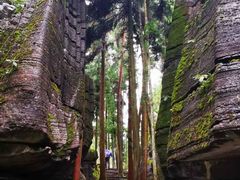-梭布垭石林景区