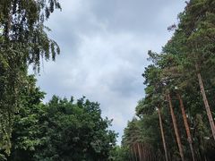-黑龙江省森林植物园