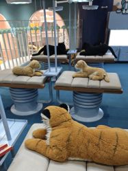 -奈尔宝家庭中心·亲子餐厅(鄞州万达店)