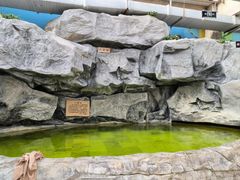 -爱江山温泉(凌奥店)