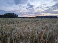 -汉长安城未央宫国家考古遗址公园